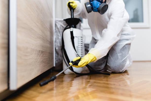 Best Flea Control Services  in La Vergne, TN