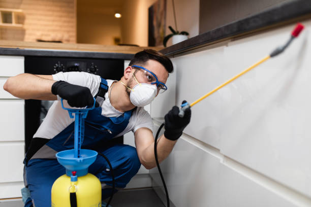 Best Pest Control Cost  in La Vergne, TN