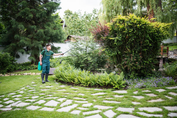 Best Pest Prevention Services  in La Vergne, TN
