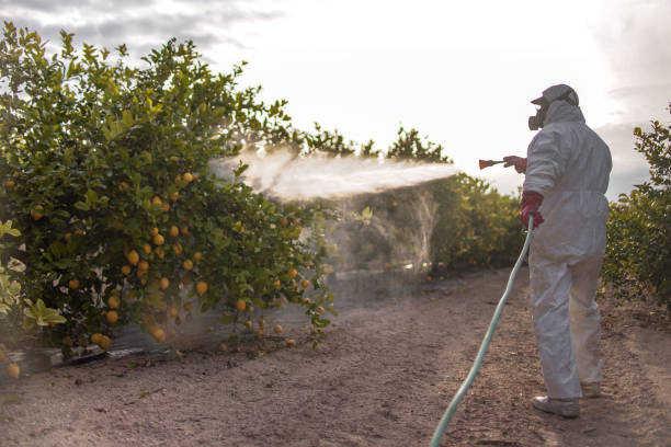 Best Affordable Pest Control Services  in La Vergne, TN