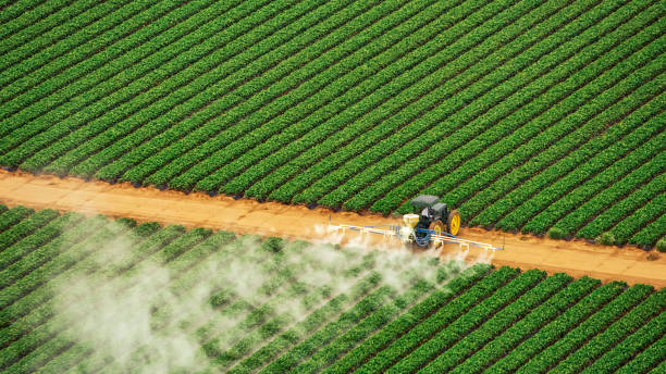Best Pest Prevention Services  in La Vergne, TN