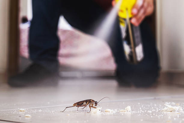 Best Commercial Pest Control Services  in La Vergne, TN