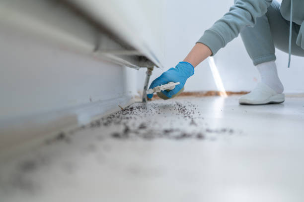 Trusted La Vergne, TN Pest Control Experts