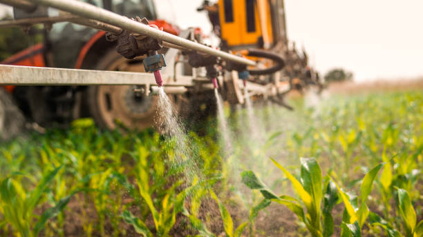 Best Commercial Pest Control Services  in La Vergne, TN